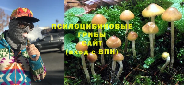 ешки Горнозаводск