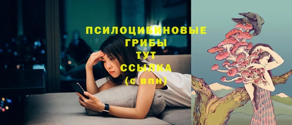 MESCALINE Горно-Алтайск