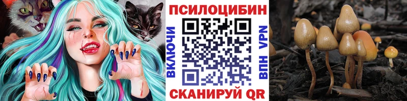 закладка  Москва  mega онион  Псилоцибиновые грибы Psilocybe 
