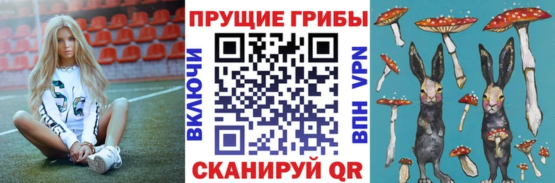 Галлюциногенные грибы ЛСД Москва