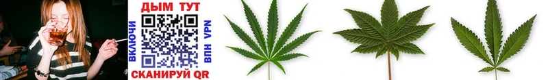цена   кракен ССЫЛКА  МАРИХУАНА SATIVA & INDICA  Москва 